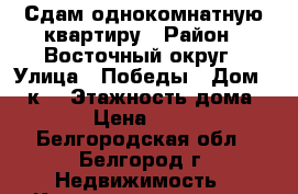 Сдам однокомнатную квартиру › Район ­ Восточный округ › Улица ­ Победы › Дом ­ 47к1 › Этажность дома ­ 12 › Цена ­ 9 300 - Белгородская обл., Белгород г. Недвижимость » Квартиры аренда   . Белгородская обл.,Белгород г.